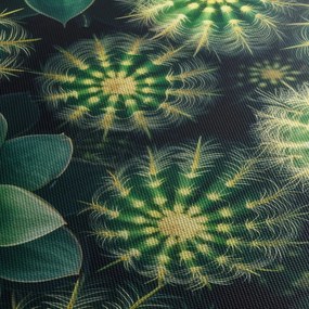 Tablou - Cactuși (70x50 cm)