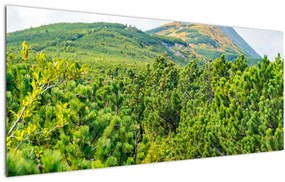 Tablou - Babi Hora, Polonia (120x50 cm)