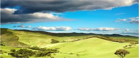 Tablou - Peisaj verde cu dealuri (120x50 cm)