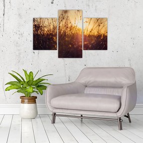 Tablou - Câmp la apus de soare (90x60 cm)