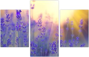 Tablou - Levănțică (90x60 cm)