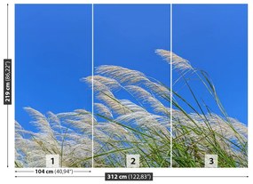 Fototapet Albastru Grass