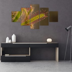 Tablou cu plantă (125x70 cm), în 40 de alte dimensiuni noi