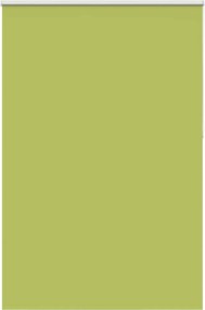 vidaXL Jaluzea cu role opace 165x230 cm Lățime material 161,6 cm