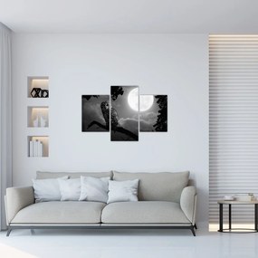 Tablou - Bufniță de noapte, alb și negru (90x60 cm)