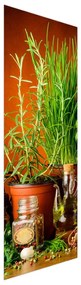 Fotojaluzele R012054R57150 (57x150 cm)