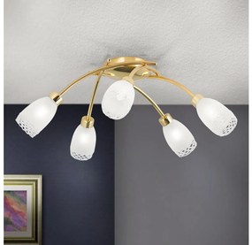 Orion - Lustră aplicată CARLA 5xG9/28W/230V auriu