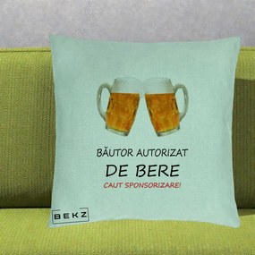 Perna Decorativa Bautor Autorizat de Bere, 40x40 cm, Verde Menta, Husa Detasabila, Perna Inclusa, BEKZ®