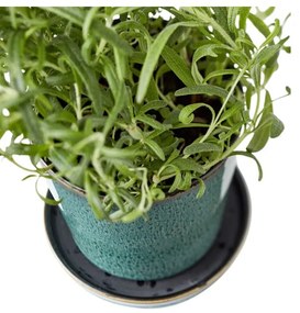 Ghiveci decorativ din gresie ø 10 cm Gastro Green/Black – Bitz