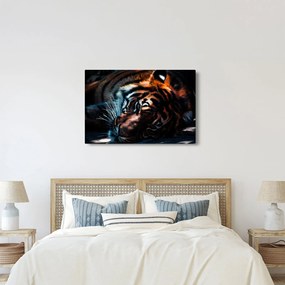 Tablou cu tigrul dormind (90x60 cm)