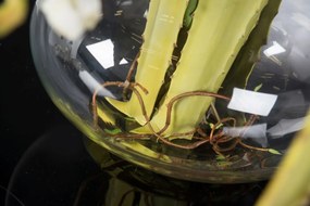 Aranjament floral mare design LUX ETERNITY BOWL ATHENA 1142260.95