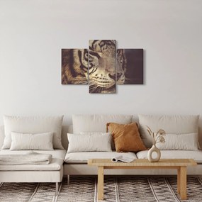 Tablou cu tigrul (90x60 cm)