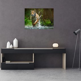 Tablou pe sticlă cu trigrul fugind (70x50 cm)