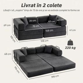 HOMCOM Canapea extensibilă 2 locuri pliabilă din chenille, cu 2 perne, brațe late, fără montaj, gri închis | Aosom Romania