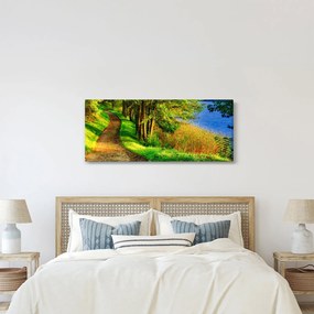 Tablou - poteci pe malul apei (120x50 cm)