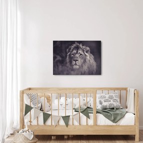 Tablou cu leu (70x50 cm)