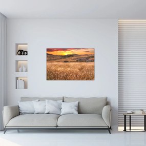 Tablou cu câmp (90x60 cm)