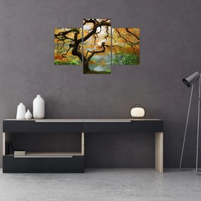 Tablou - Arțarul japonez galben, Portland, Oregon (90x60 cm)