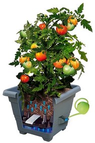 Jardinieră cu auto-irigare Plastia Bergamot 40 x 40 cm, maro