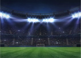 Tablou - Stadion de fotbal (70x50 cm)