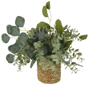 Planta decor in cos, 13x6 cm, seagrass/nature, disponibila in 4 variante