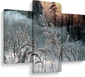 Tablou - Pajiște înghețată (90x60 cm)