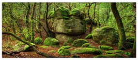 Tablou cu pădurea fermecată (120x50 cm)