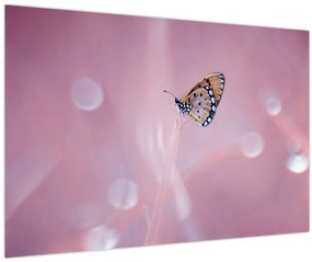 Tablou - Fluturele (90x60 cm)