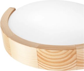 Aplică ANELLO 1xE27/60W/230V pin