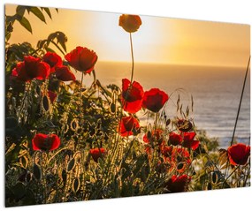 Tablou cu apus de soare cu flori de maci (90x60 cm)