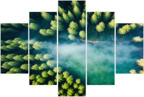 Tablou - O pădure învăluită în ceață (150x105 cm)