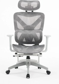 Scaun ergonomic, functie translatie sezut, cotiere 3D, tetiera 3D, suport lombar Adaptive, pivotant, suport picioare, Gri