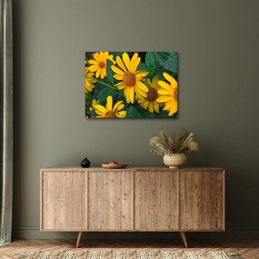 Tablou cu flori galbene (70x50 cm)