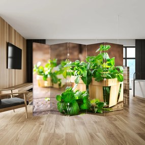 Paravan - Menta proaspătă (210x170 cm)