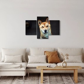 Tablou cu câine (90x60 cm)