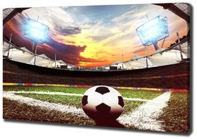 Pictură pe pânză Stadion de fotbal