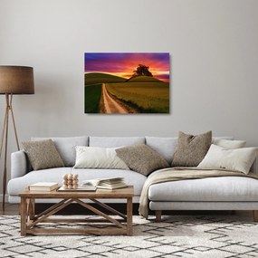 Tablou pe sticlă cu câmp și cerul colorat (70x50 cm)