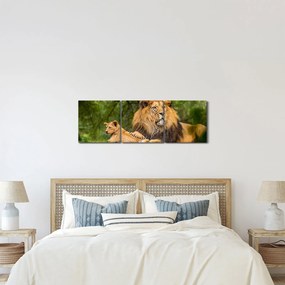 Tablou cu lei (cu ceas) (90x30 cm)