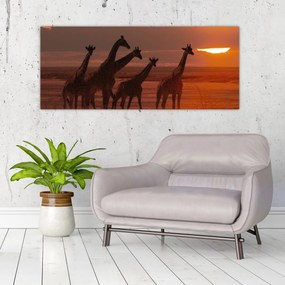 Tablou - Girafe în savana africană (120x50 cm)