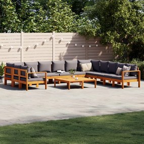 3214869 vidaXL Set de canapele de grădină cu perne, 9 piese, lemn masiv acacia