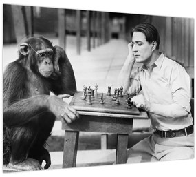 Tablou - Circ 2 (70x50 cm)