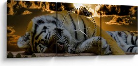 Tablou tigrul dormind (cu ceas) (90x30 cm)
