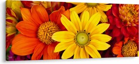 Tablou cu floare (120x50 cm)