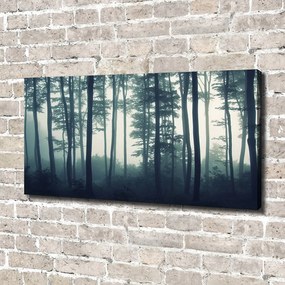Print pe canvas Pădure în ceață