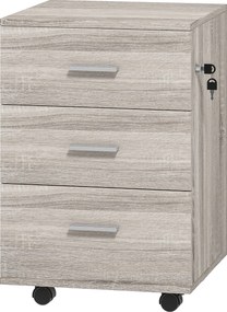 Vinsetto Comodă de birou cu 3 sertare Roți Încuietoare 2 Chei Arhivator Mobil pentru Studiu Living 40x40x61,5 cm Gri | Aosom Romania