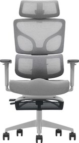 ERGO D-GT5-GHL-04 – Scaun Ergonomic Premium, Suport Lombar cu arc, Cotiere 3D, Tetieră reglabilă, Șezut Glisant, Suport pentru picioare extensibil, Gri