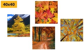 Set tablouri natura de toamnă în culori frumoase
