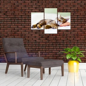 Tablou - Pisicuța adormită (90x60 cm)