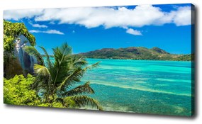 Tablou canvas Seychelles coast