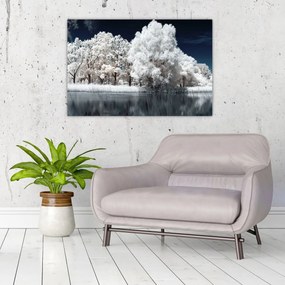 Tablou - Albă ca Zăpada Albă ca Zăpada Copaci (90x60 cm)